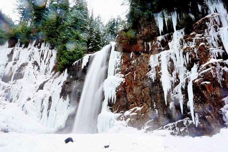 12347644_10154370314743502_7908249684946753738_n