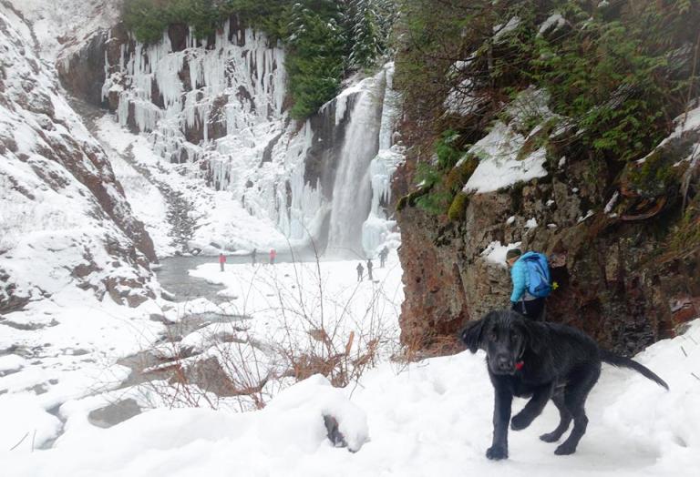 12347806_10153908800166264_5446226049517014875_n