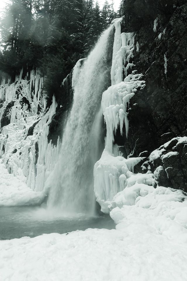 12356865_10153908800186264_5101898812592171350_o