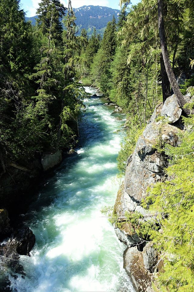 cheakamus3