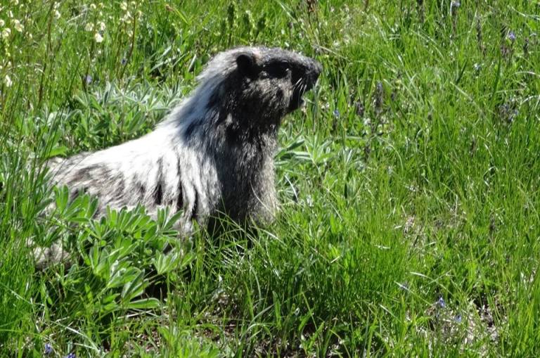 10440995_10152714276591264_2635371050973201387_n