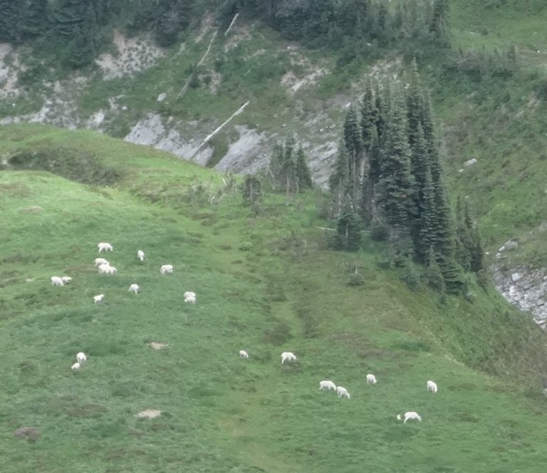 10592849_10152714277056264_58259994435278910_n