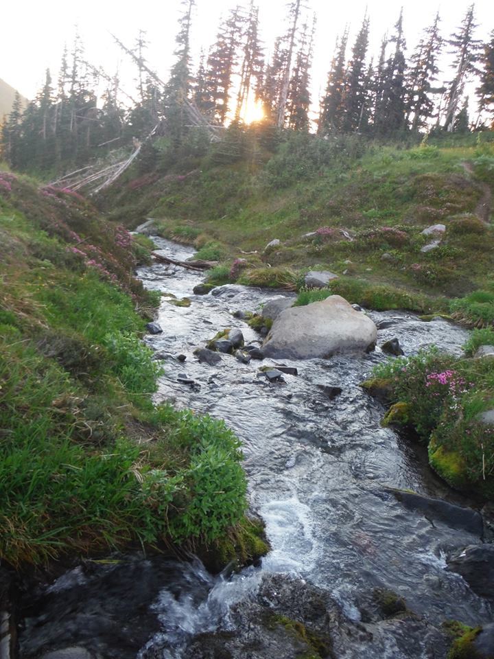 10624831_10152714282311264_3280377204232608374_n