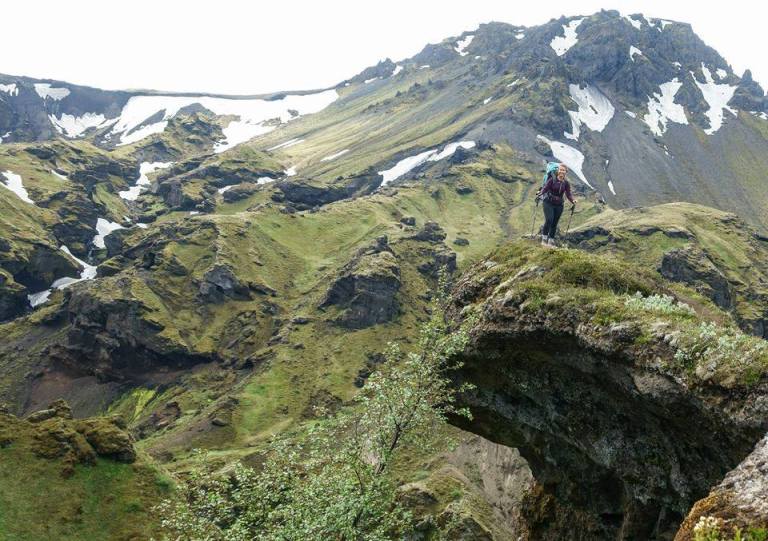 11703175_10206232376261760_8214976725356374370_n