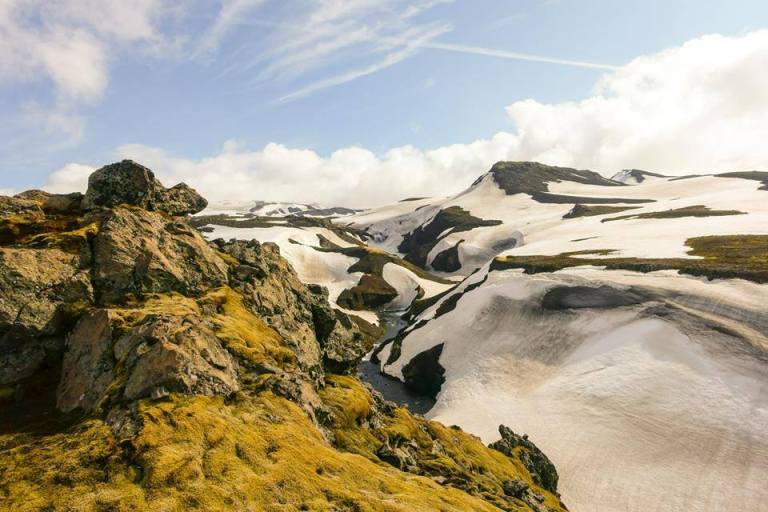 11709717_10206232376541767_8860175106160293466_n