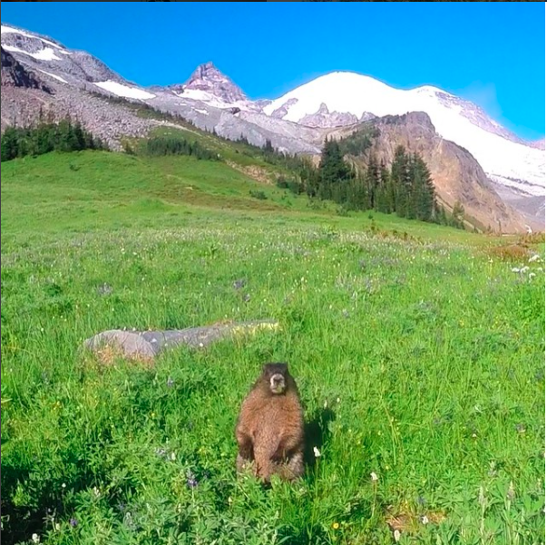 screen-shot-2016-12-27-at-12-32-41-am